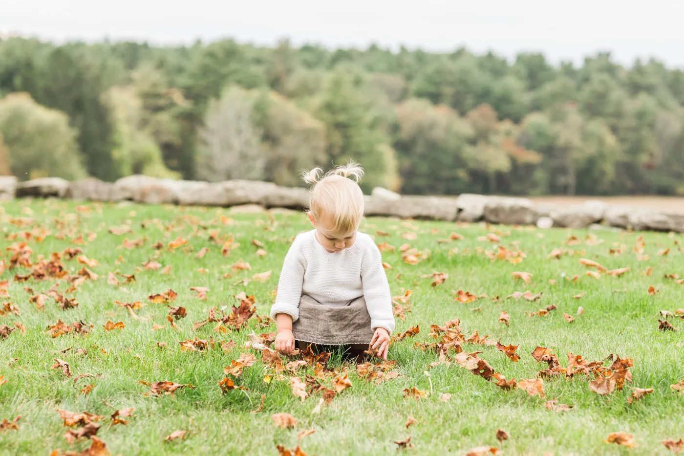 Anne Lee Photography