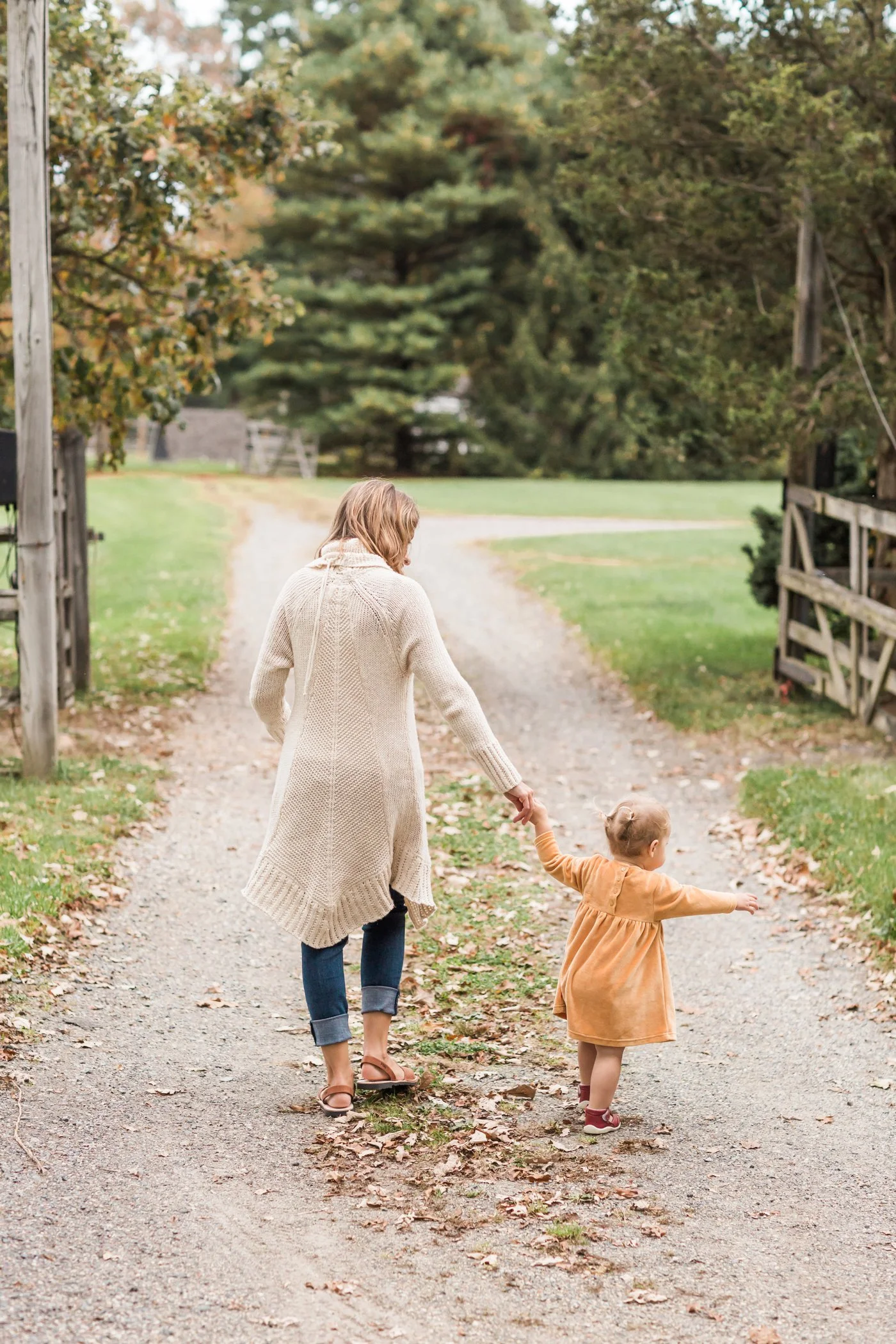 Anne Lee Photography