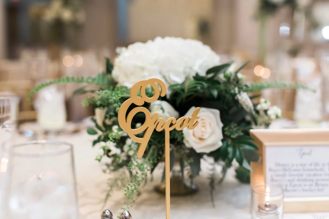 Anne Lee Photography