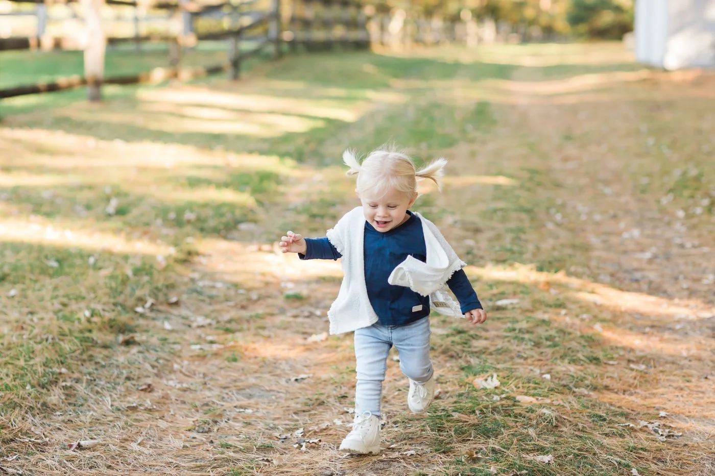 Anne Lee Photography