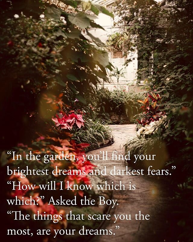 A walk in the garden. Part 1 by @francoamp #writersofinstagram
#writersofig
#writerscommunity
#amwriting
#nanowrimo
#amediting
#ilovewriting
#authorlife
#writerscorner
#writerscommunity 
#fiction
#fromeyetoink