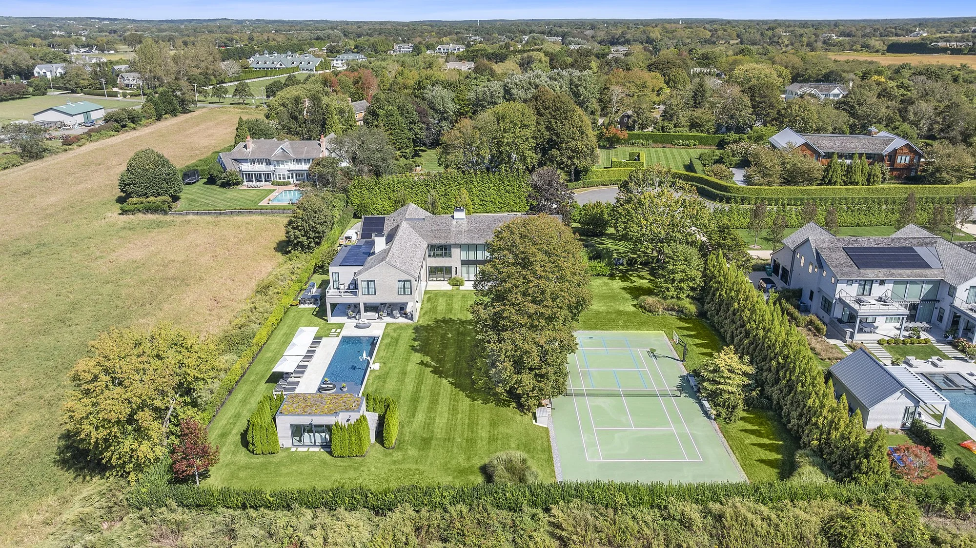 wild goose drone rear.jpg