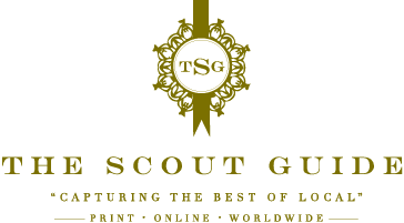 scoutguide logo transparent wide.png