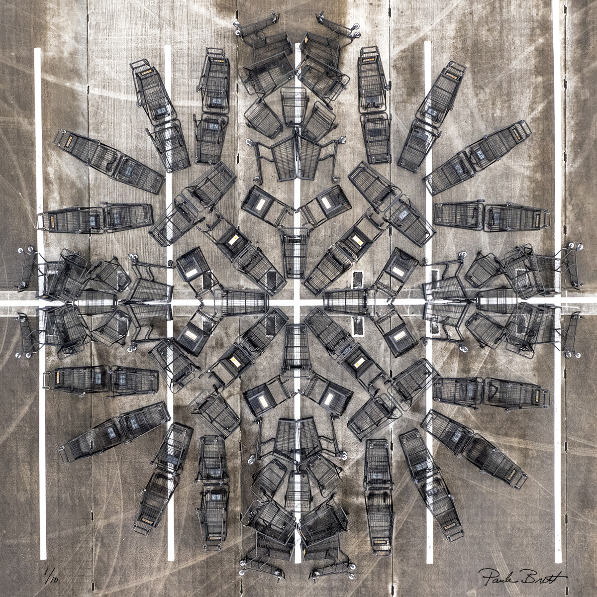 Black Shopping Cart Mandala (Whole Foods, 2016)