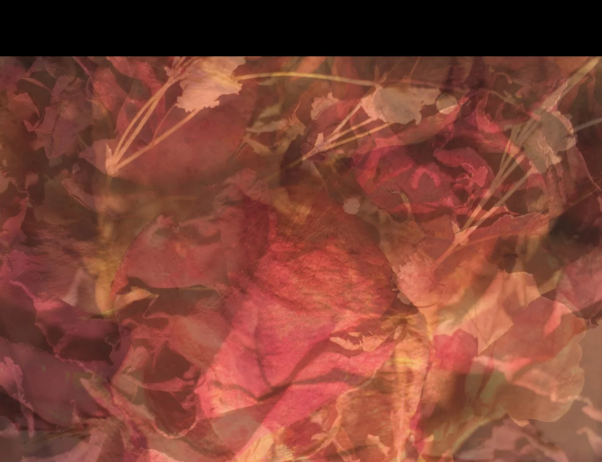 Untitled-3.jpg