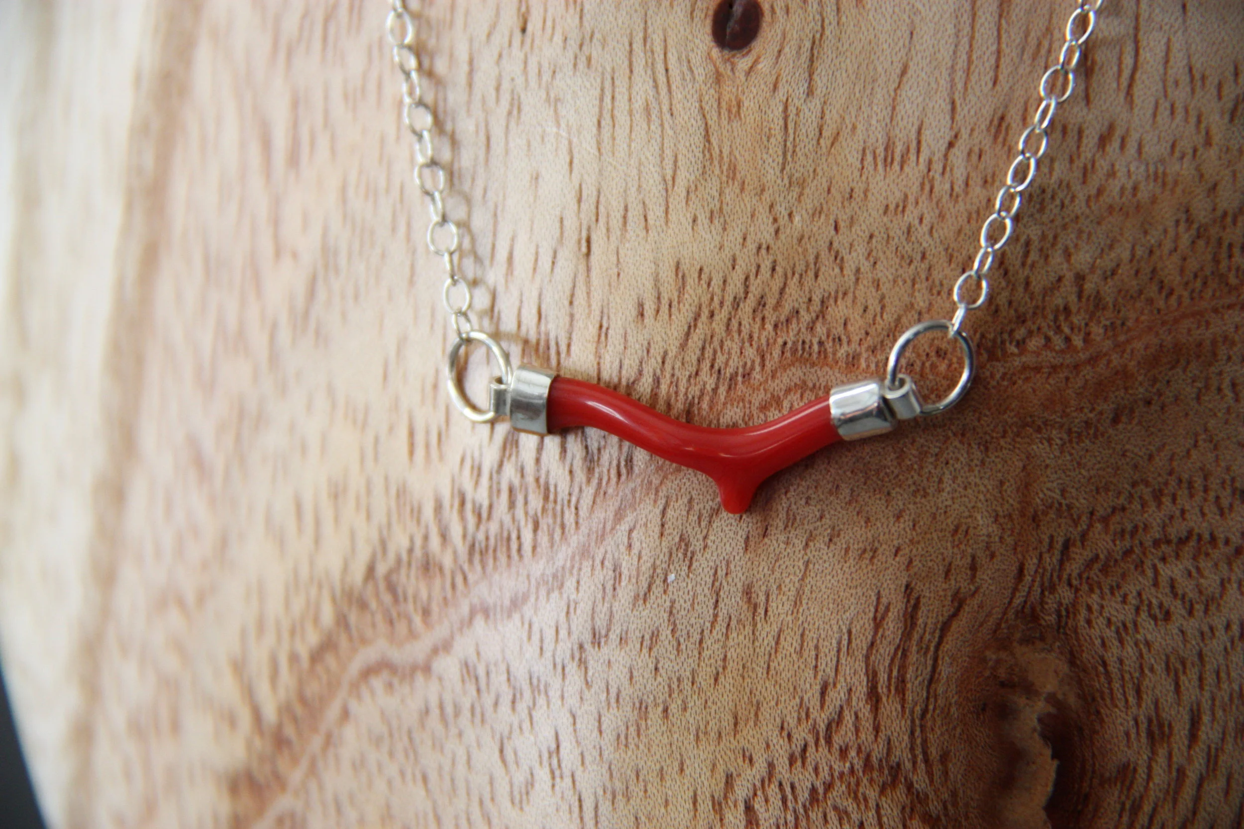 Petite Coral Segment Specimen Necklace