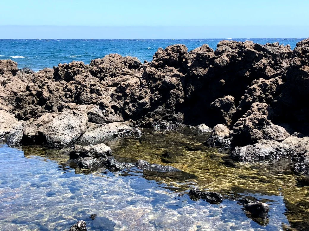 beach tide pool tenerife.jpg