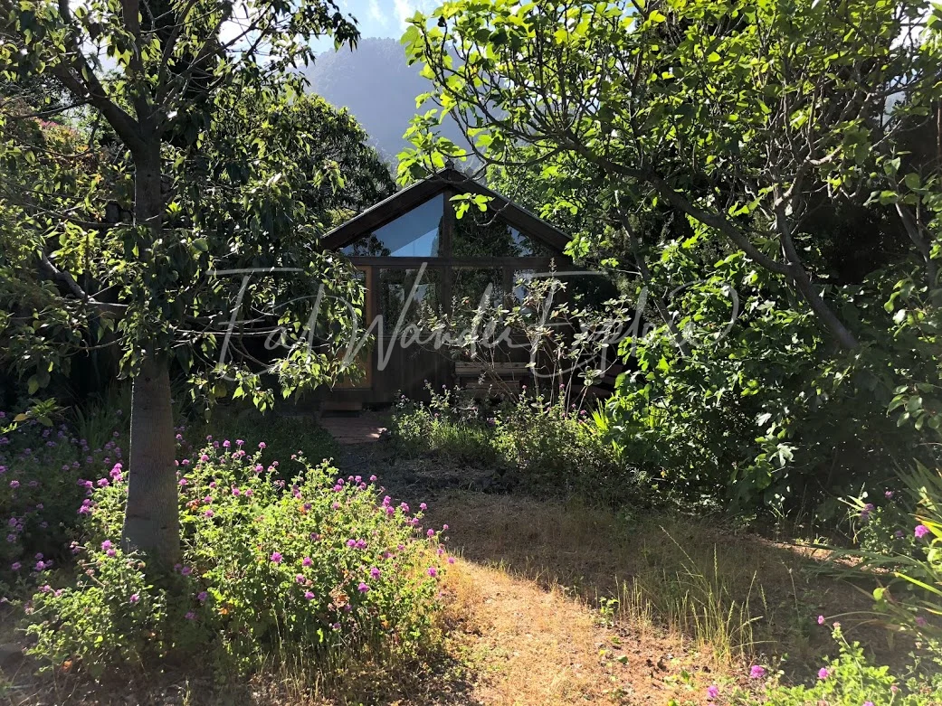 airbnb la palma travelversary.jpg