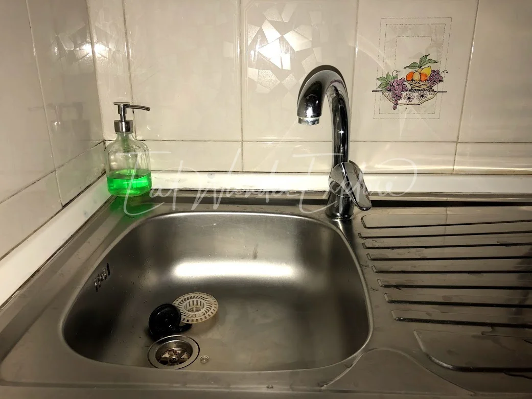 sink no garbage disposal.jpg