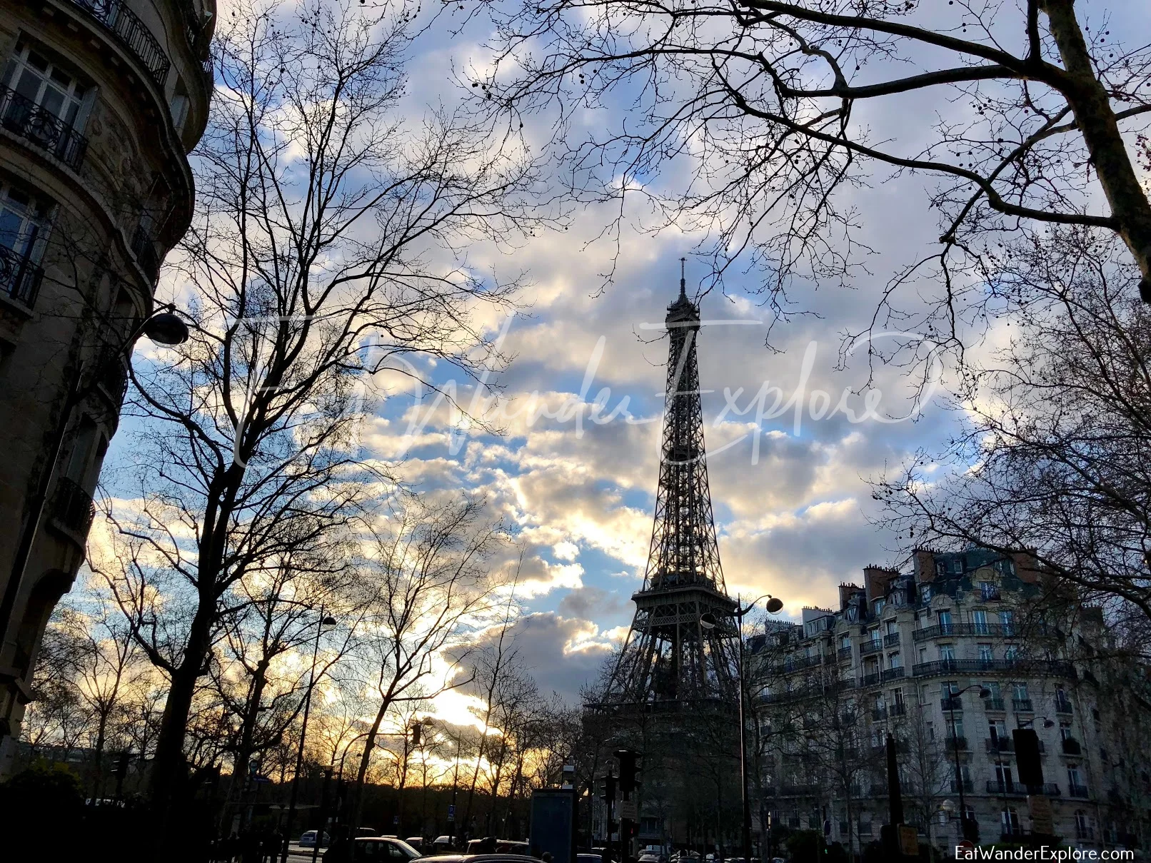 member_paris85.jpg