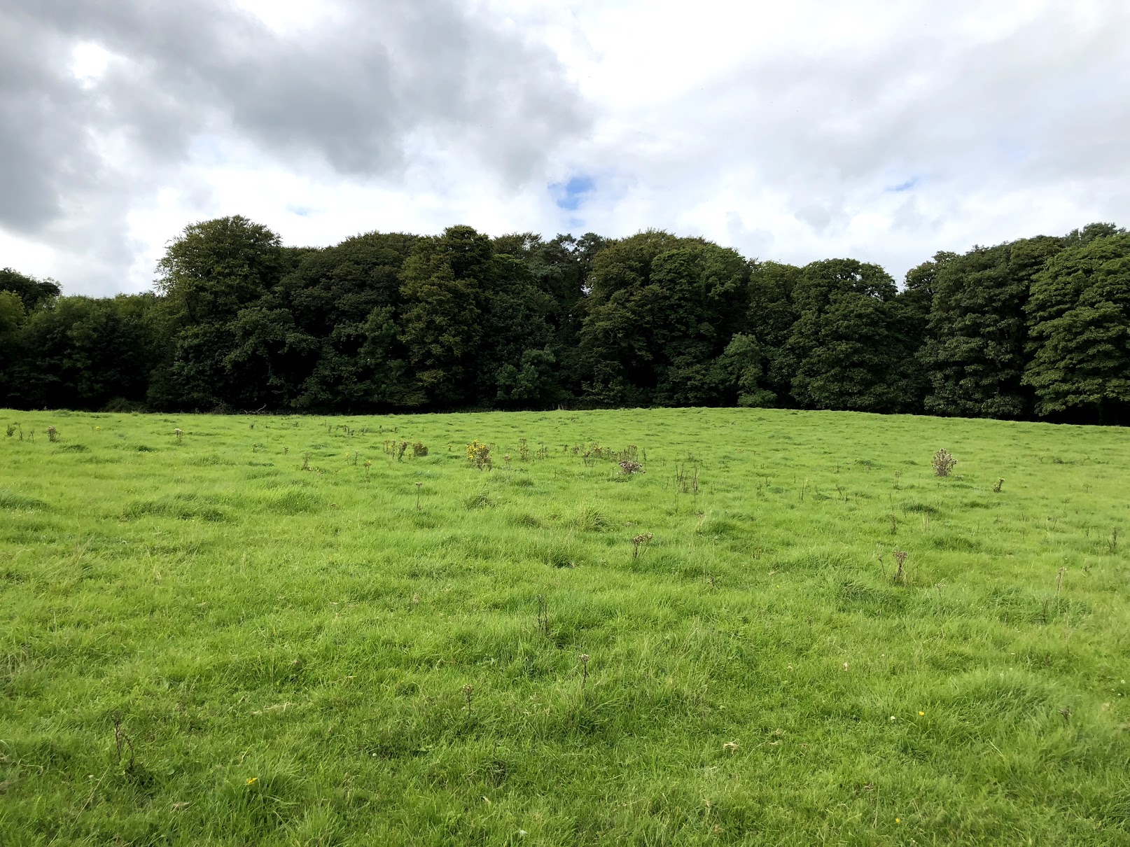 Robb's Camp Here is where Robb camps after the Battle of Whispering Wood. It is also the location where Catelyn frees Jaime Lannister from his cage.