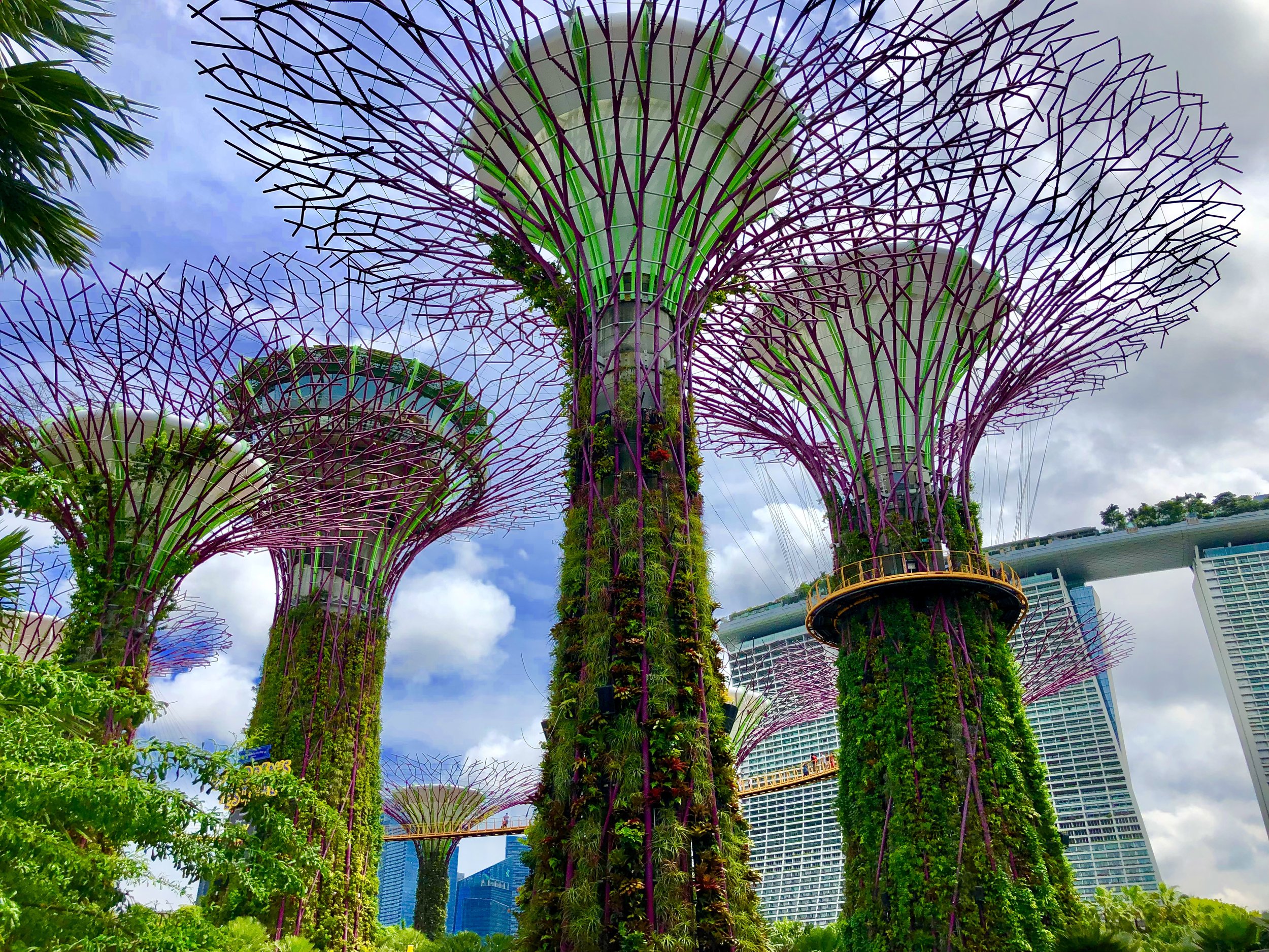 Garden By The Bay Open Hours