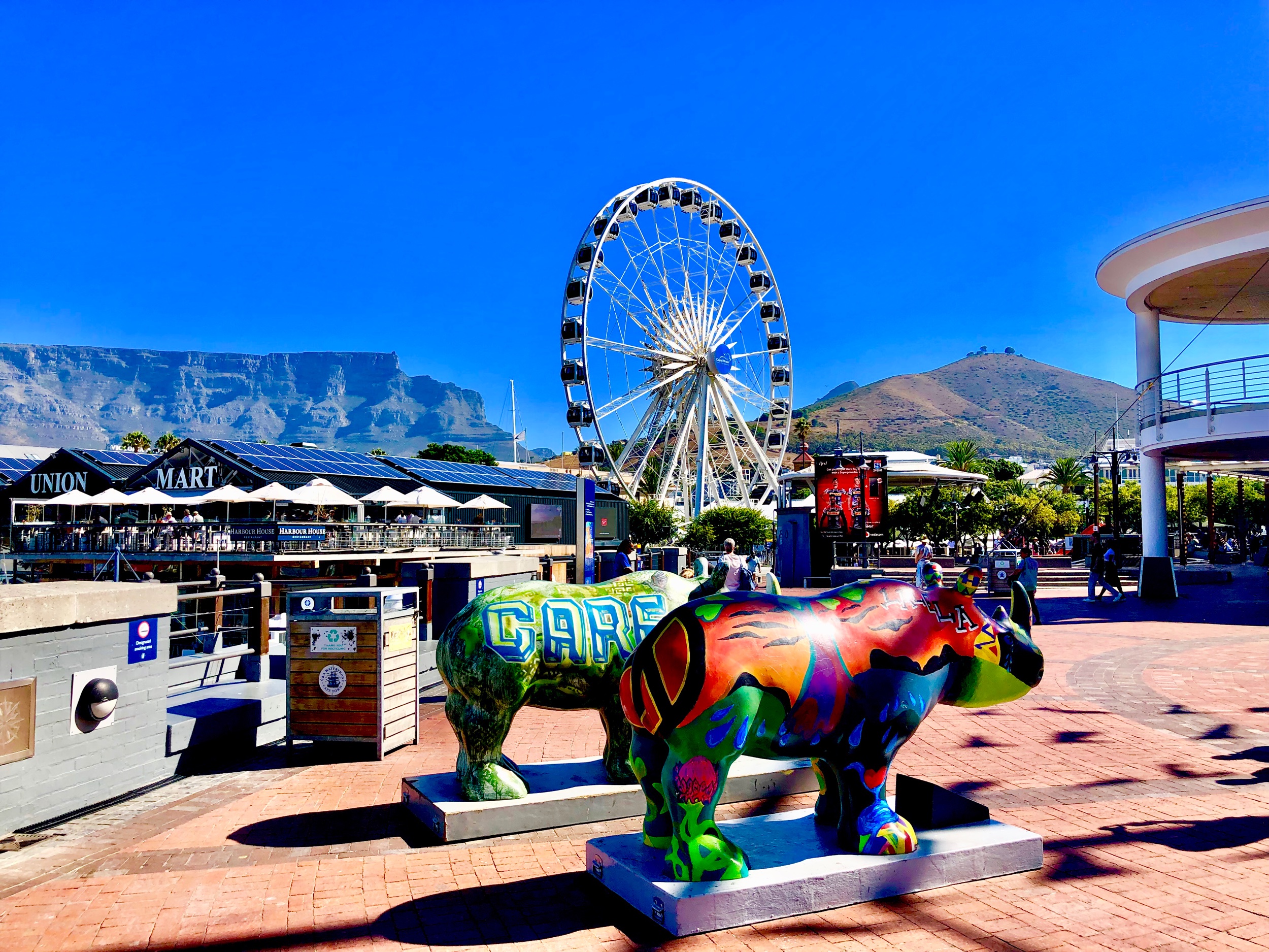 10 best ways to explore Cape Town's V&A Waterfront - Lonely Planet