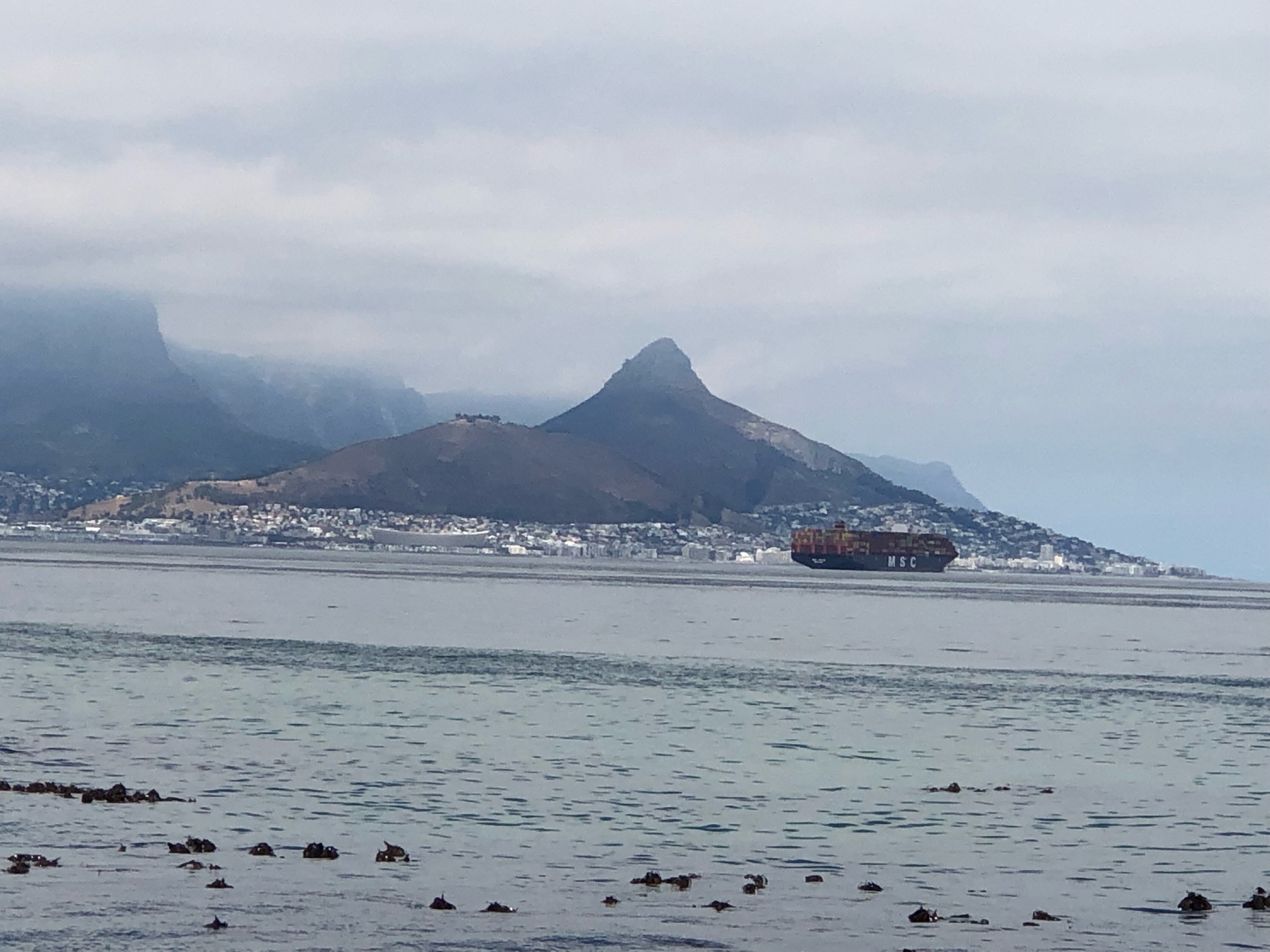 Across the bay from Signal Hill and Lion's Head