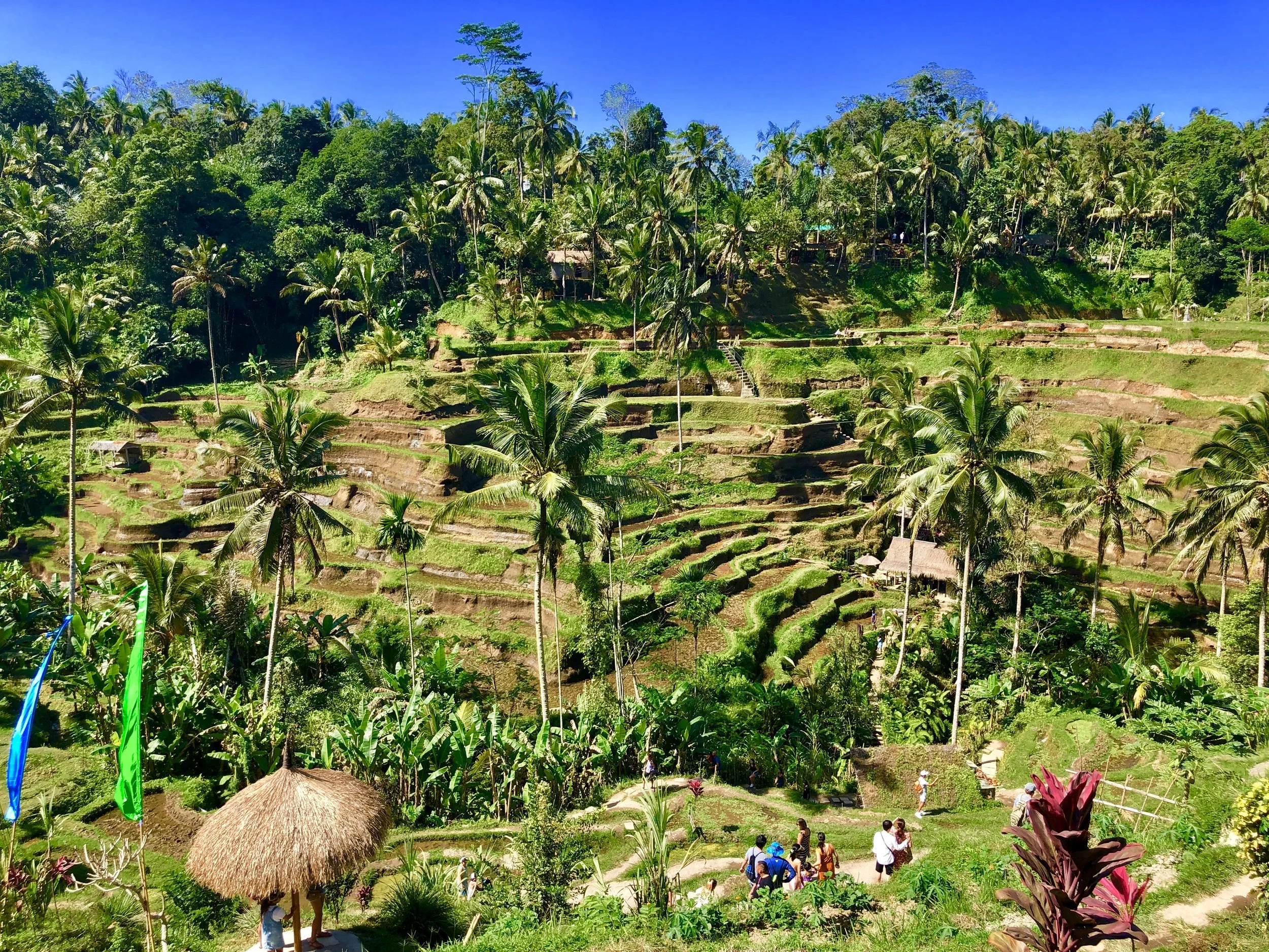 Best things to do around Ubud, Bali - Indonesia
