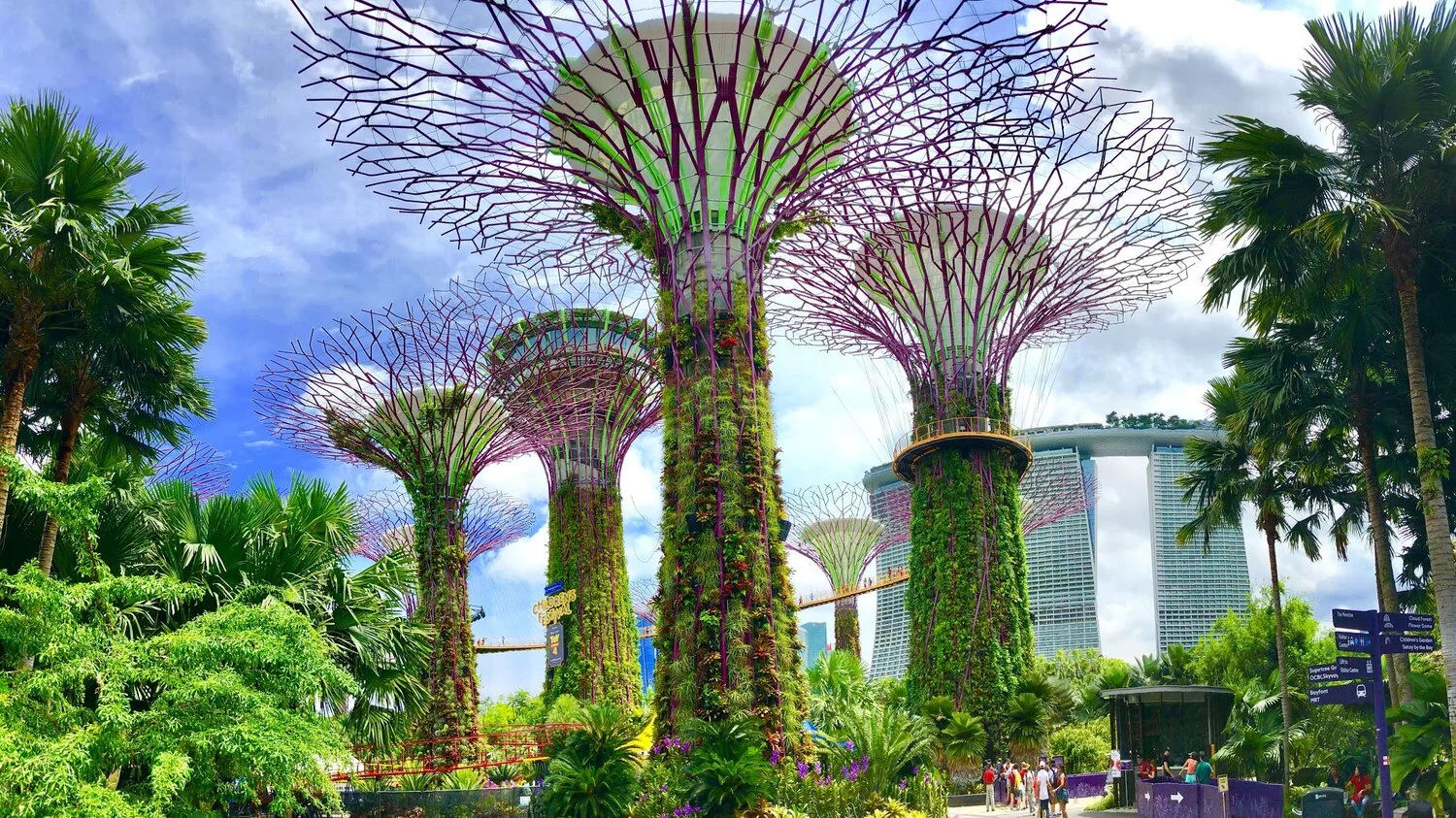gardens-by-the-bay-supertrees-singapore.jpg