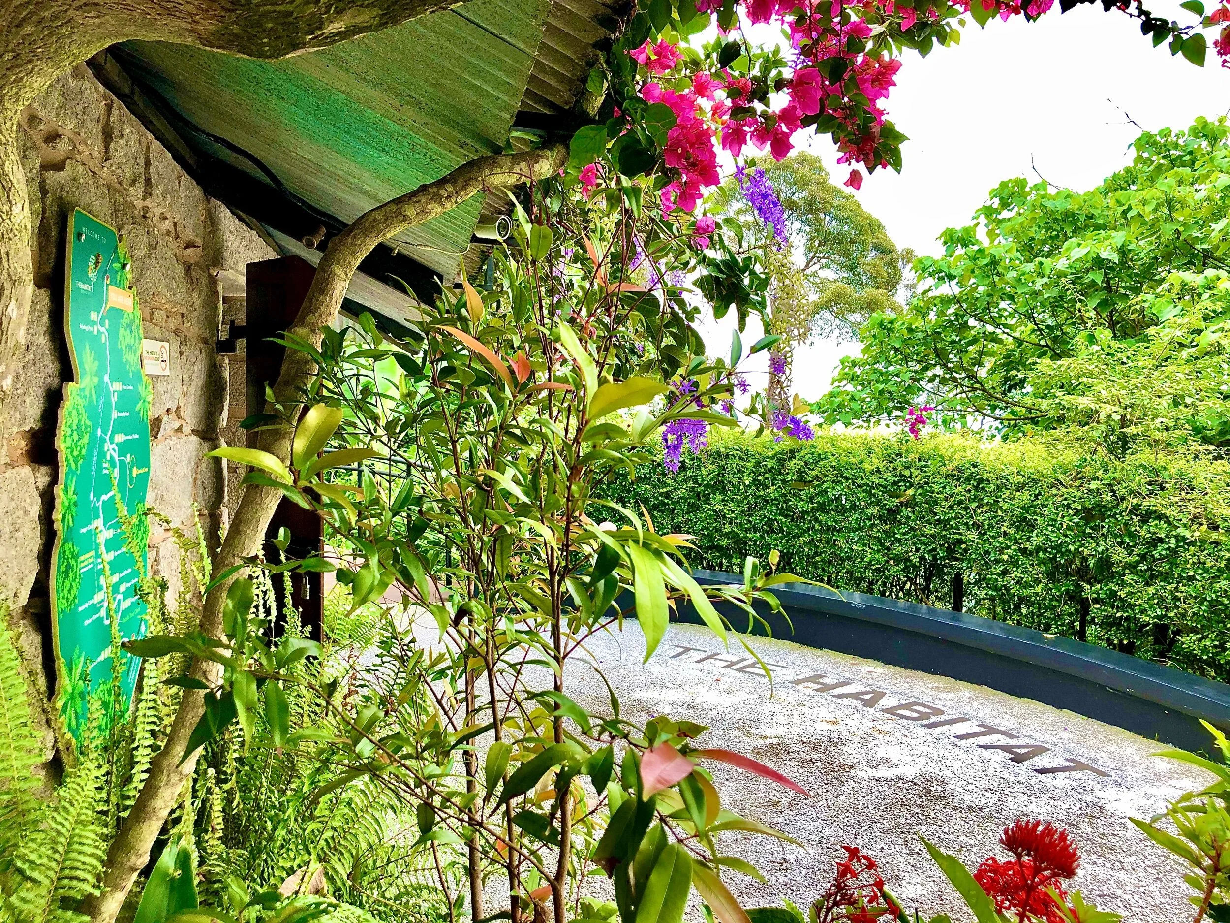 The Habitat - Rainforest Ecotourism in Penang, Malaysia