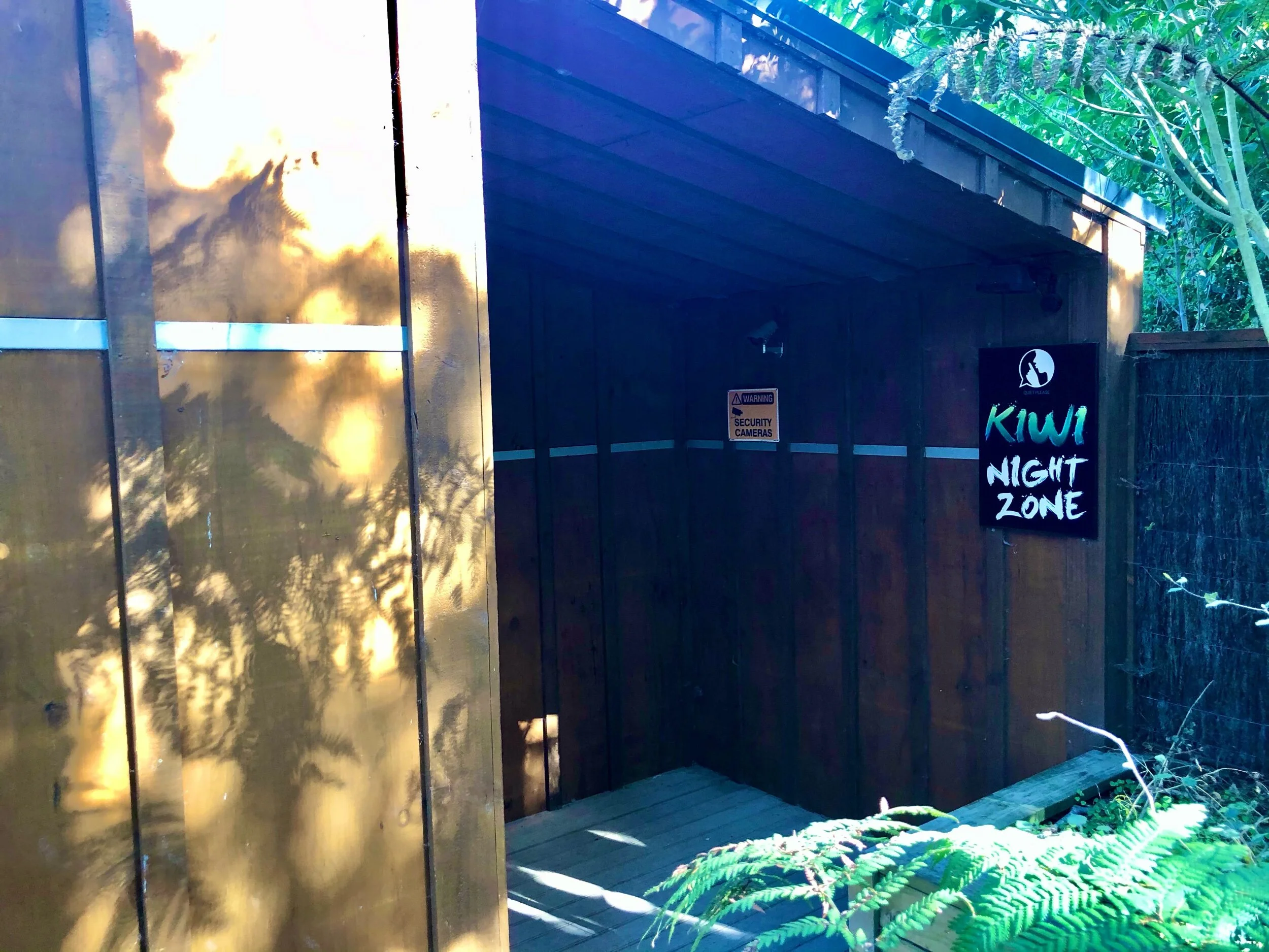 Kiwi Bird Night House, Otorohanga Kiwi House, New Zealand