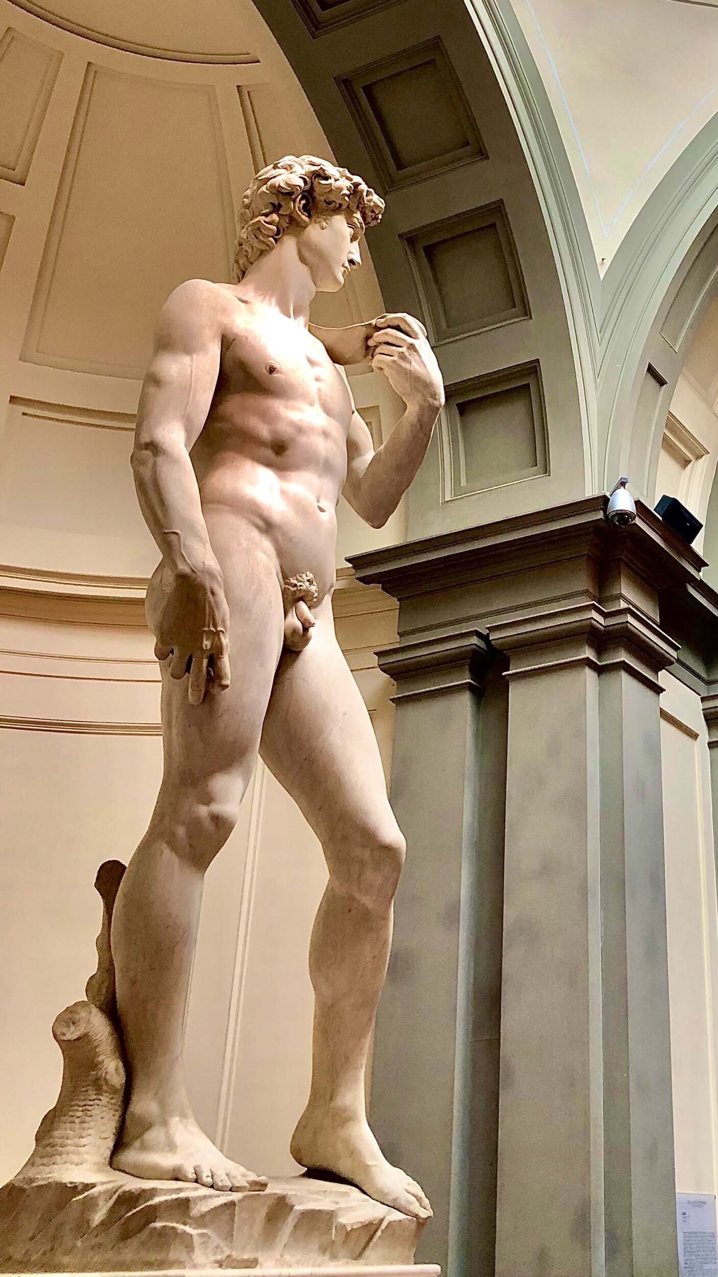 A Tale of Two Davids: Michelangelo, Donatello and the Art of Renaissance  Florence - Through Eternity Tours