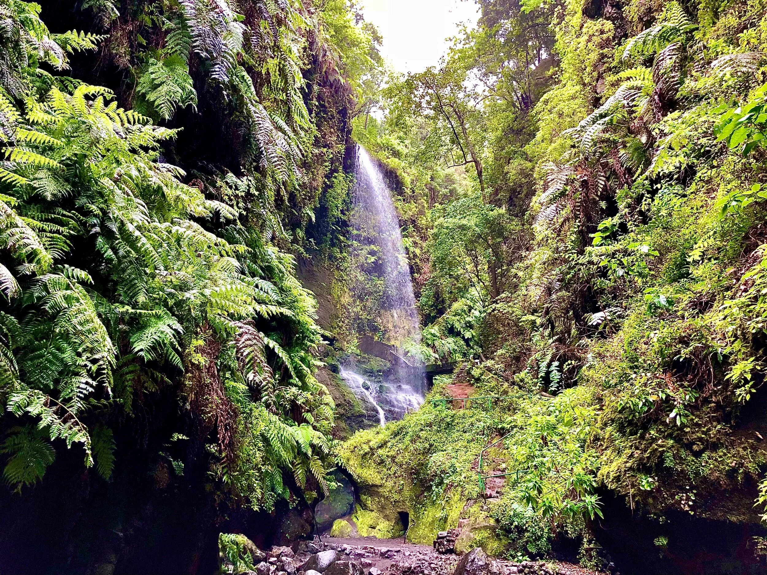 Three Precious Gems of Canary Islands: Gran Canaria, Lanzarote, and La Palma - Spain