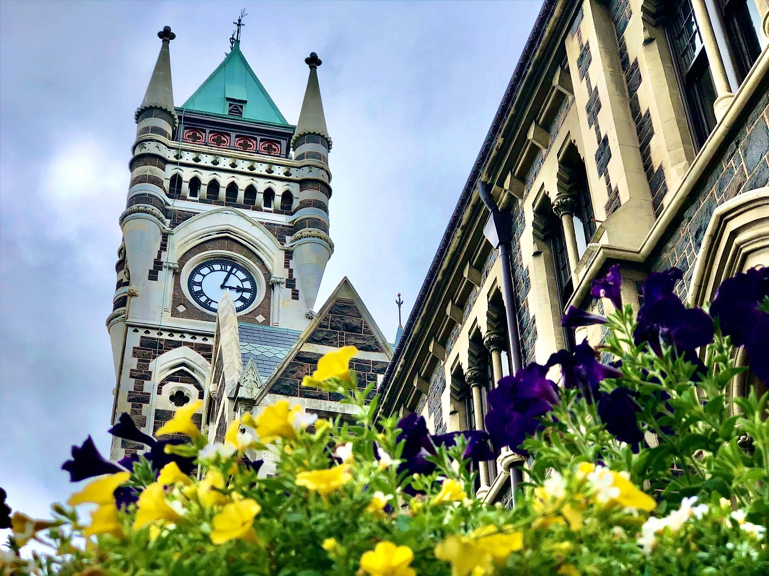 Dunedin and Surrounds: The Scotland of New Zealand