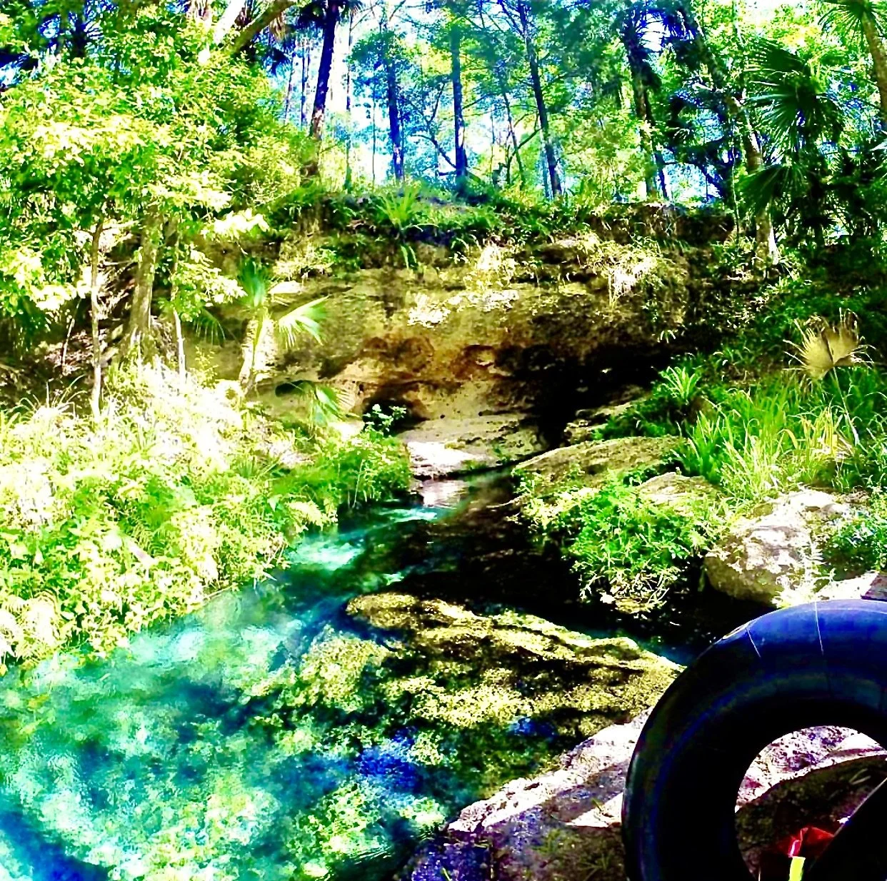Cheap Things To Do in Orlando Florida: Nature Parks, Gardens, and Springs - USA