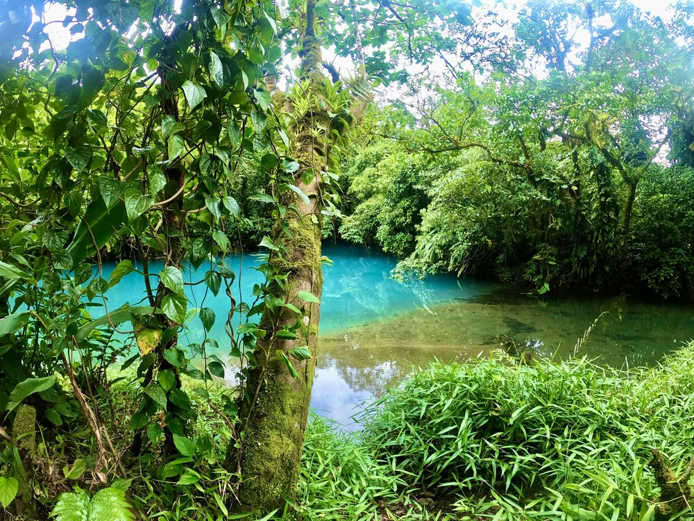 Cleste Riveti Rio Celeste Costa Rica - Plus Monteverde Cloud Forest and the La ...