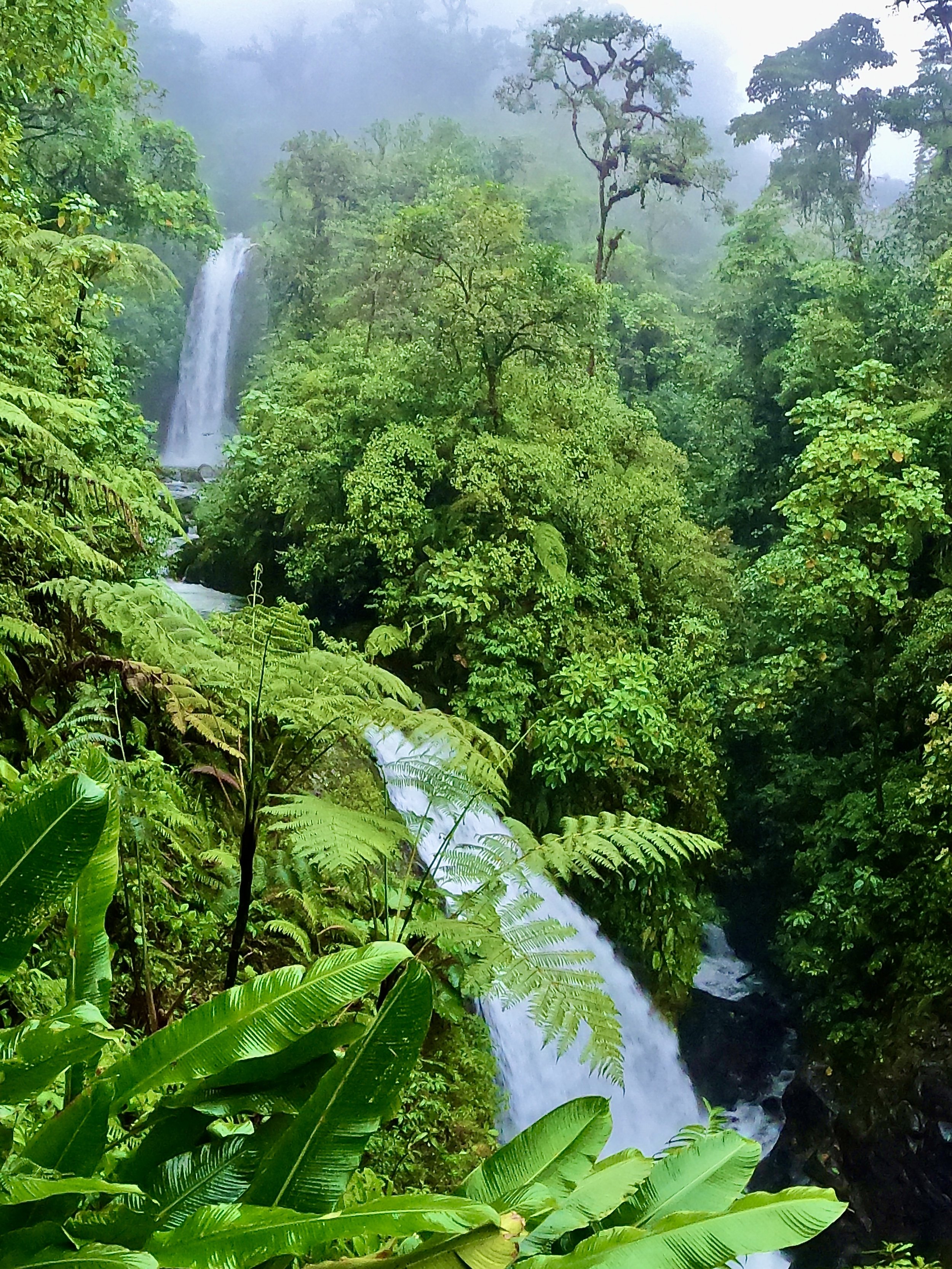 Synes Bakterie mikrocomputer Manuel Antonio National Park and Amazing Highlights in the San Jose Area - Costa  Rica — REmotiFIRE by EatWanderExplore