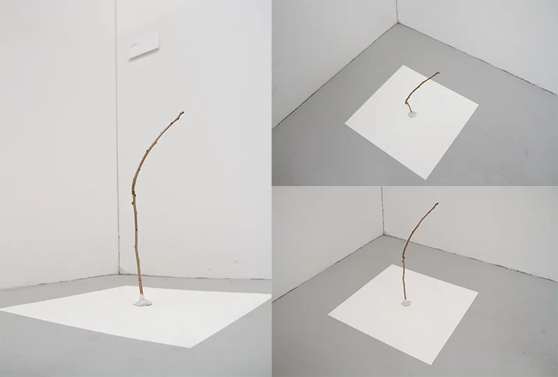 It's just a stick