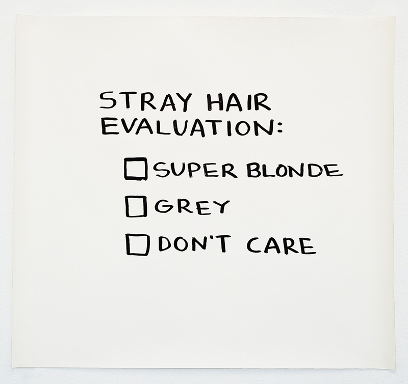 Stray Hair Evaluation