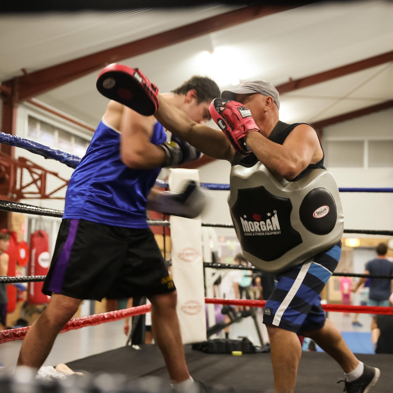 Caloundra City Boxing