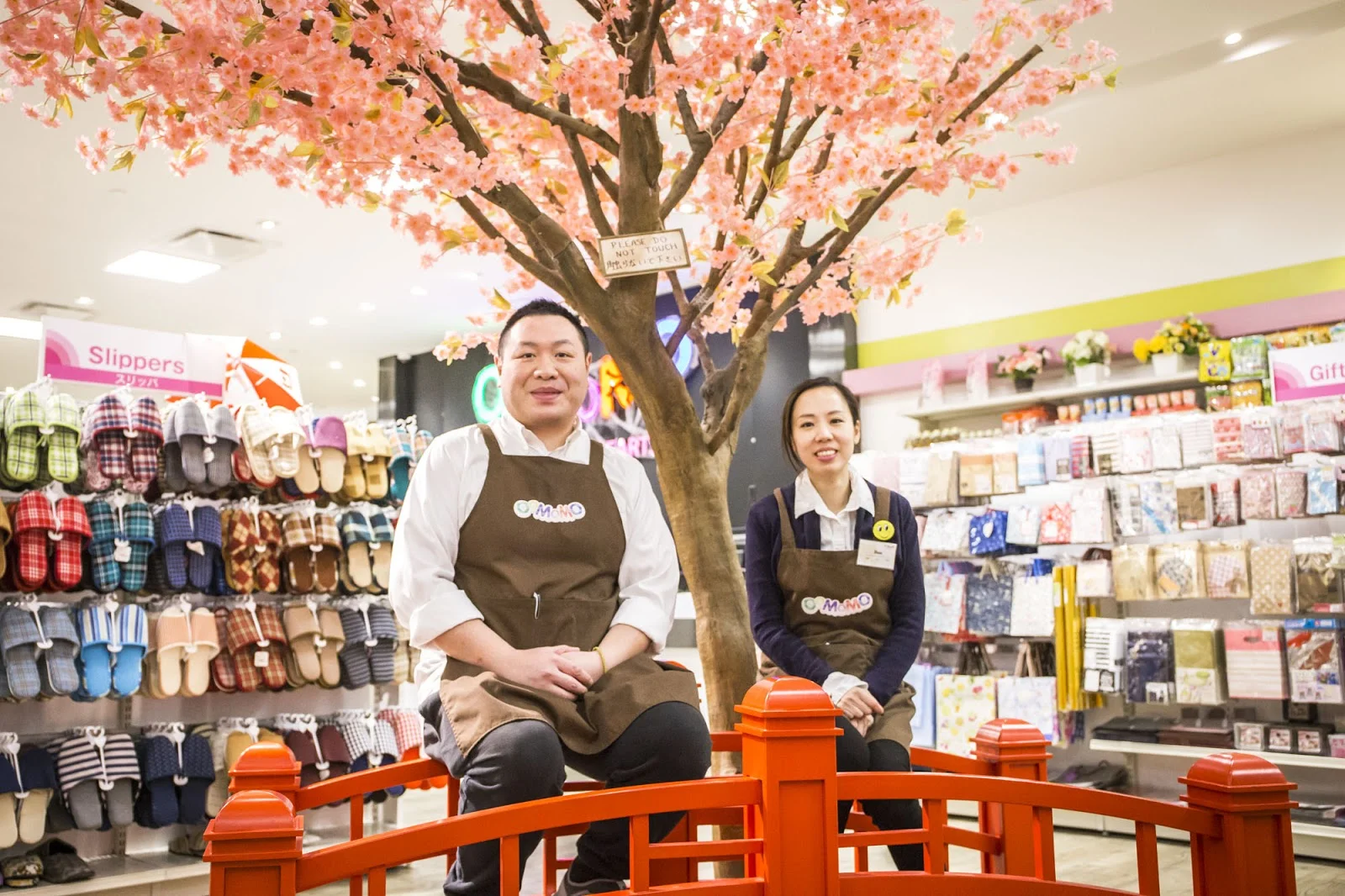 Japanese Yen Store Edmonton Oomomo.jpg