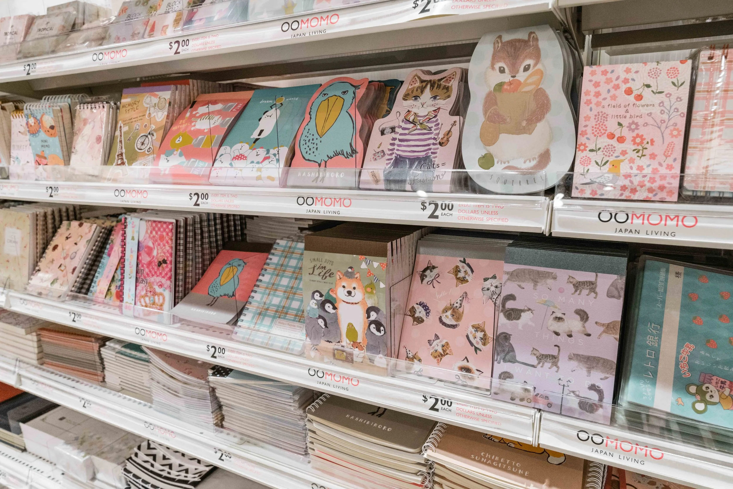 Blogger style-Store and shelf-12.jpg