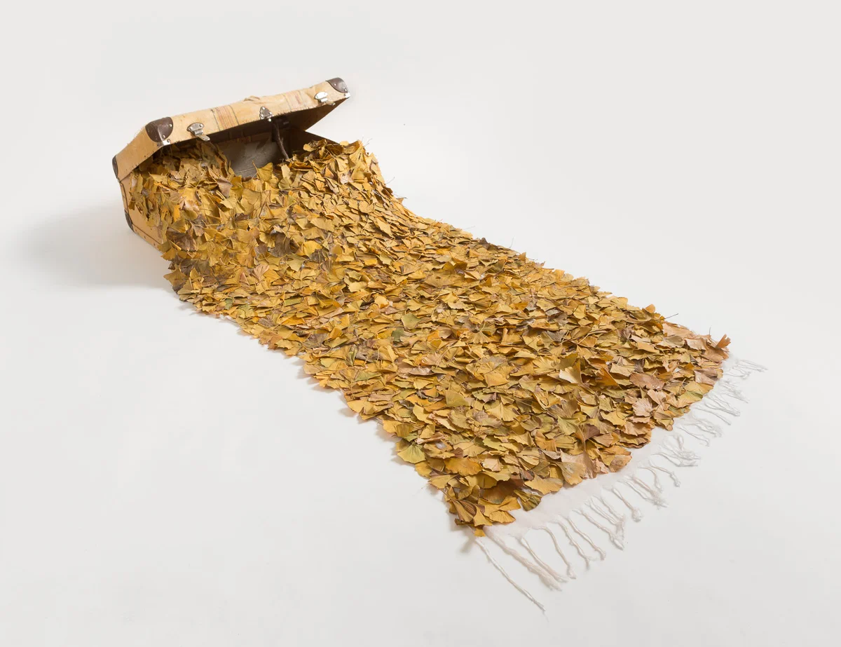Rug of Resilience 2014