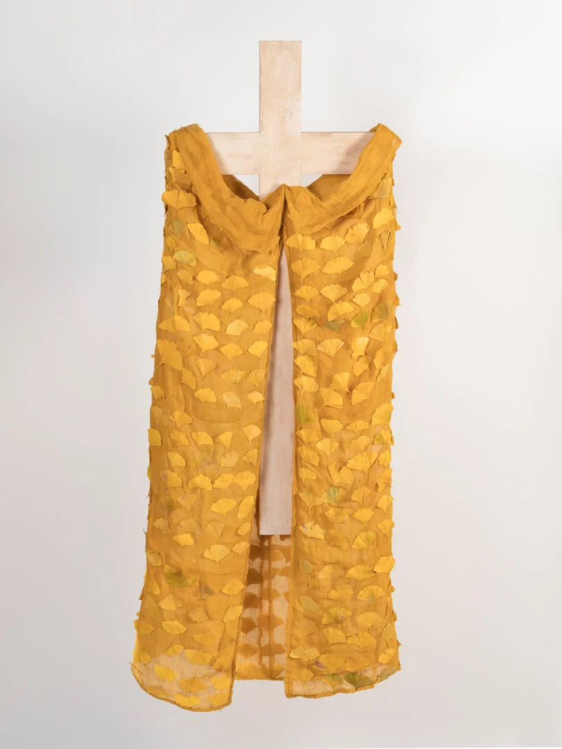 Ginkgo cloak 2017