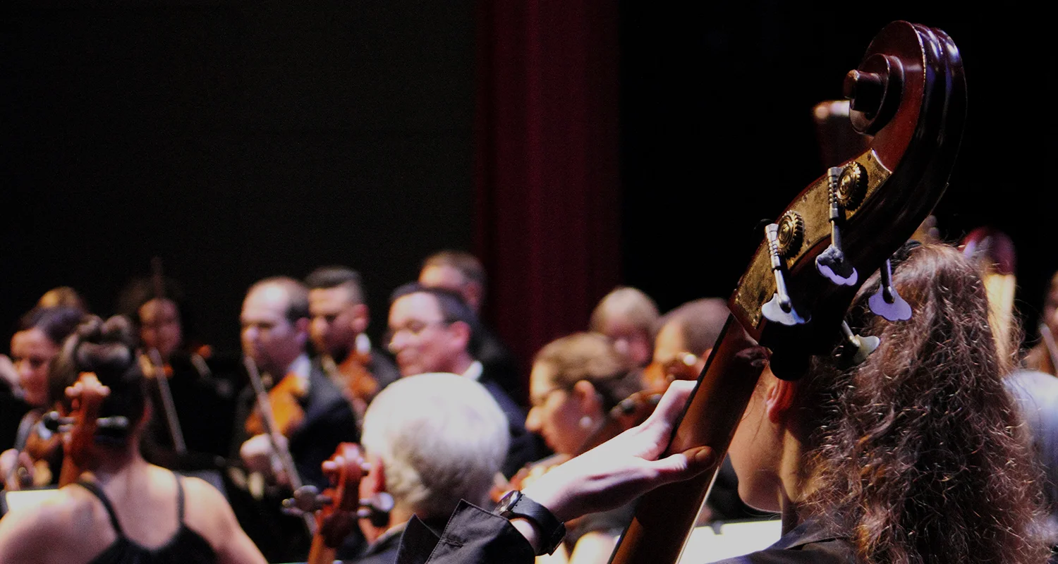 BSO-website_header-banner_overlay-About.jpg