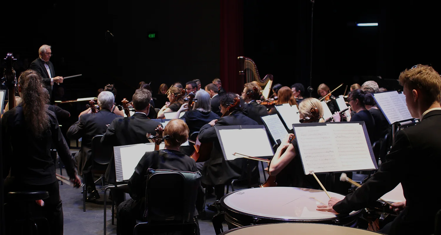 BSO-website_header-banner_overlay-The-Conductor.jpg