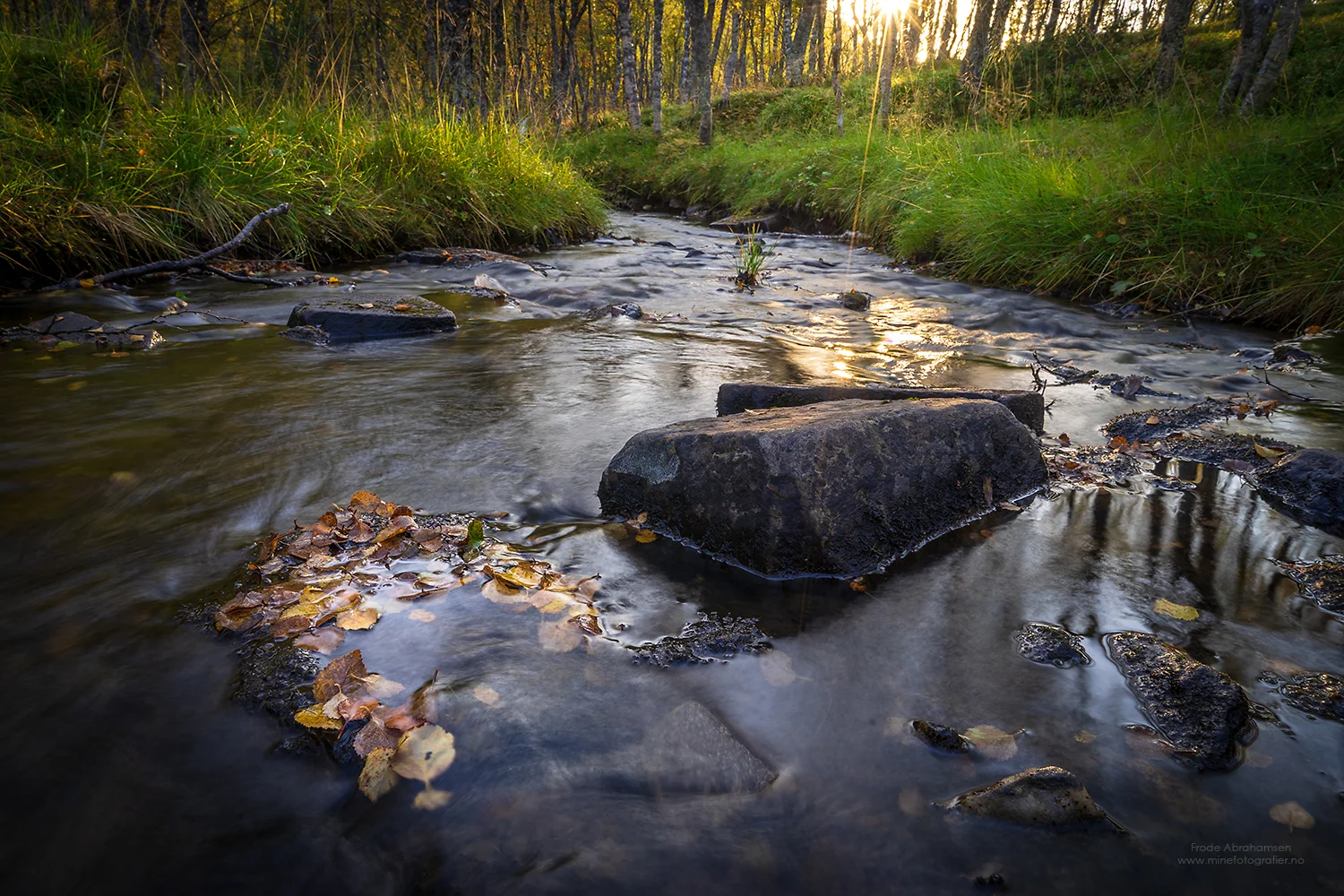 DSC08356-HDR_web.jpg