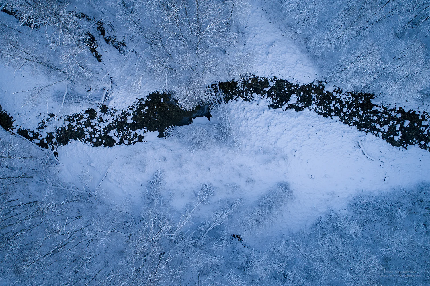 DJI_0029_web.jpg