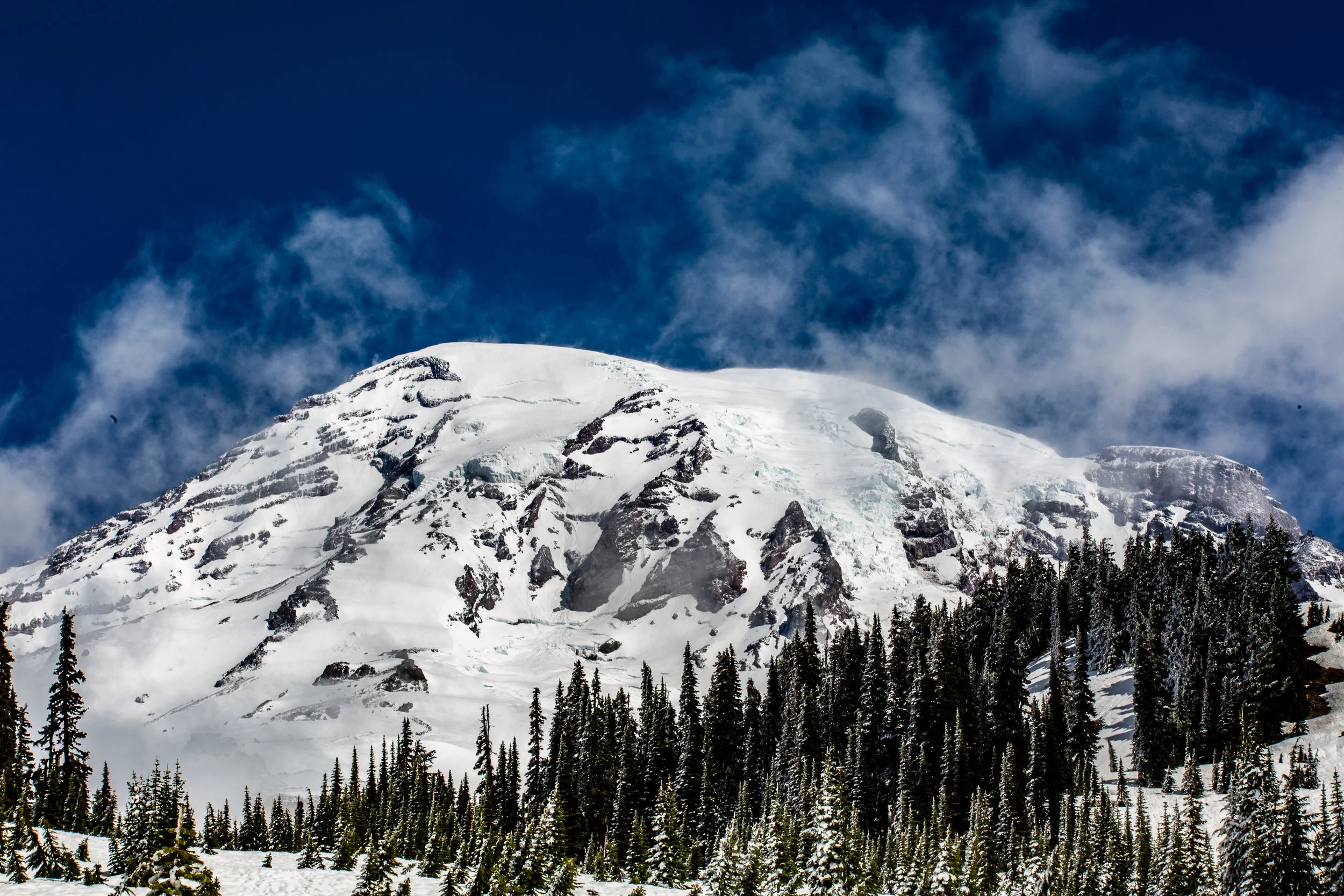 5D3_0015.jpg