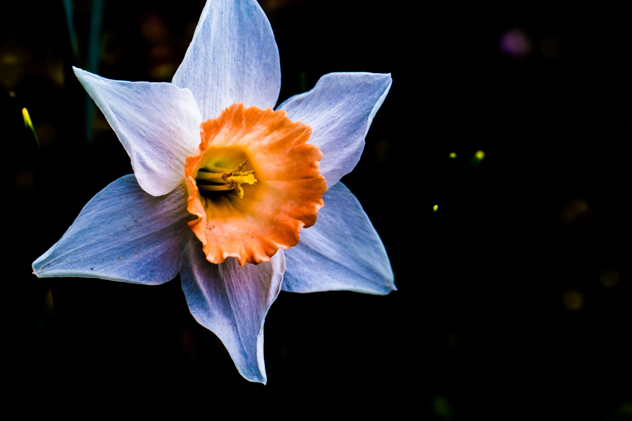 5D3_0227-1.jpg
