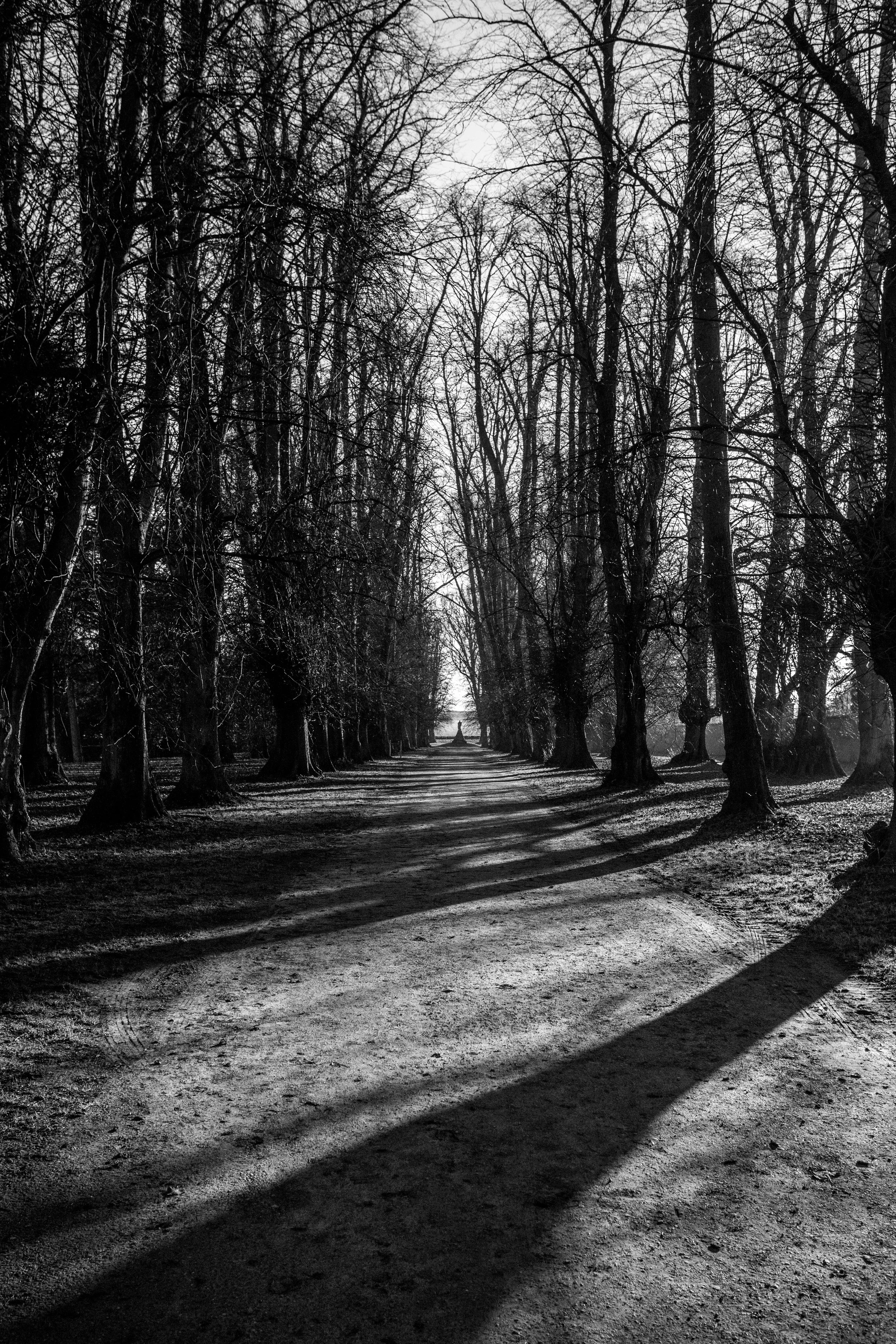 5D3_0576.jpg