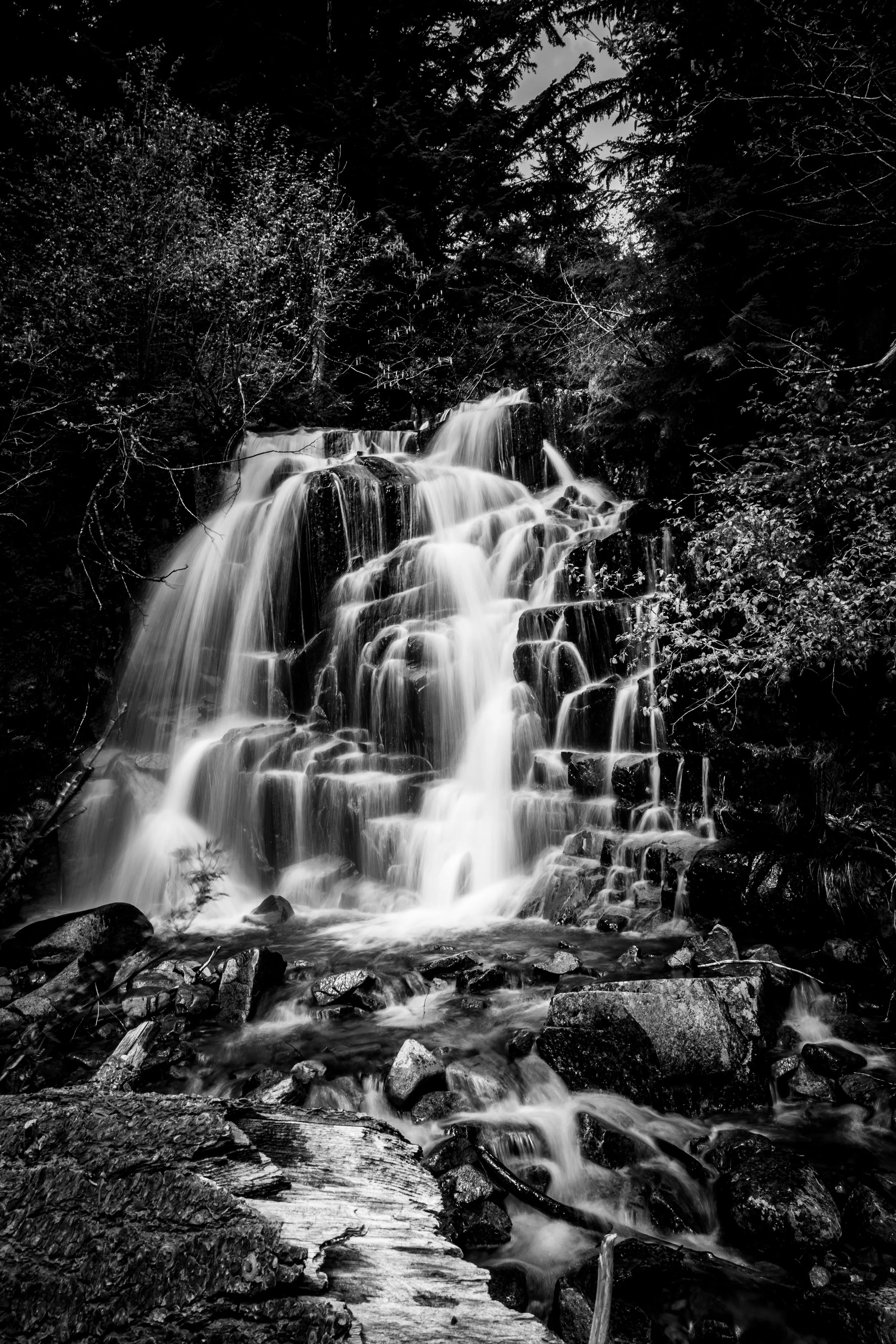5D3_0177.jpg