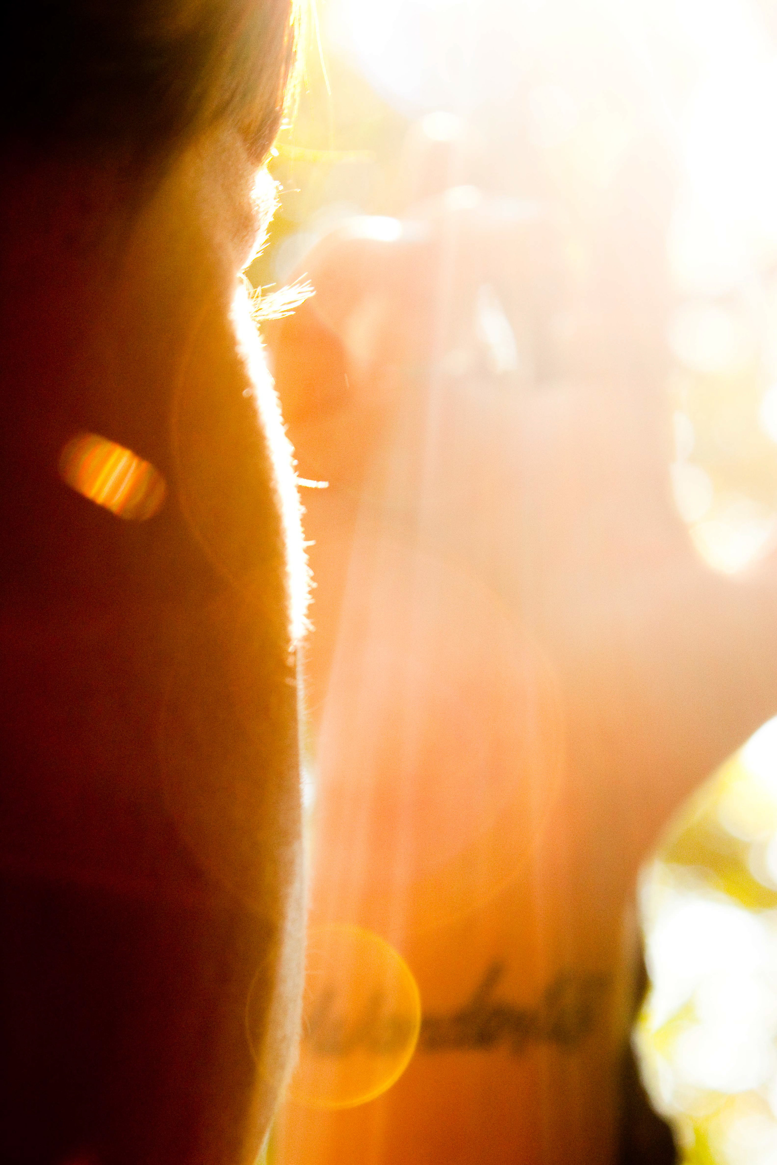 Sunlight-Alex.jpg