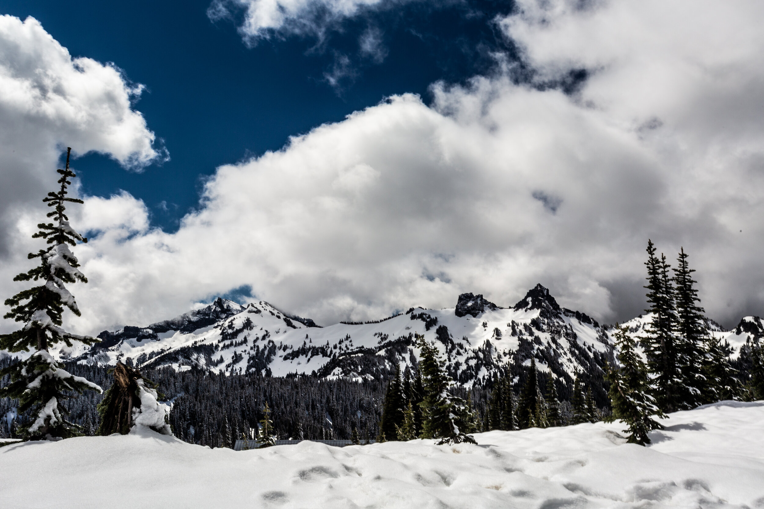 Mt Rainier