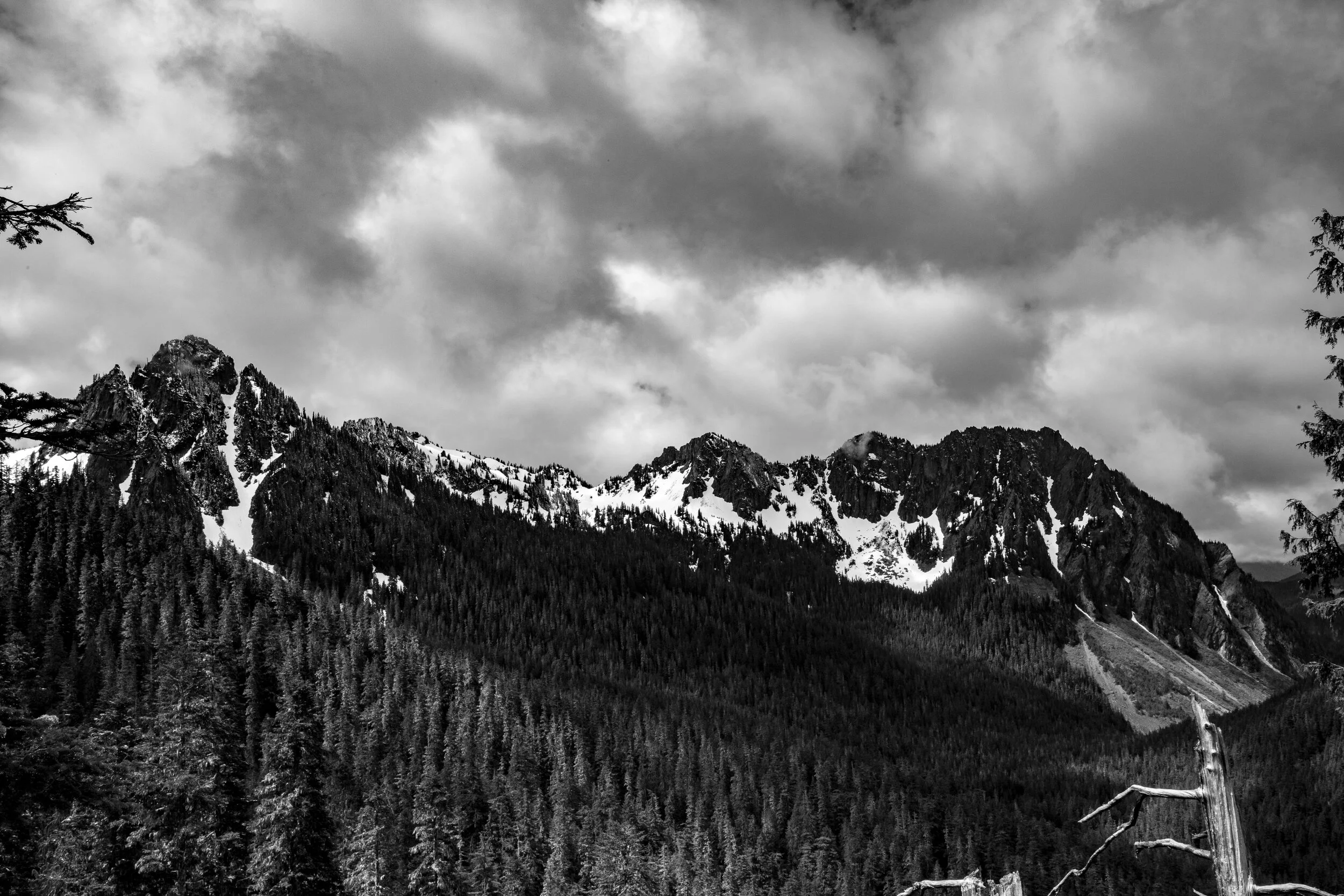 Mt. Rainier