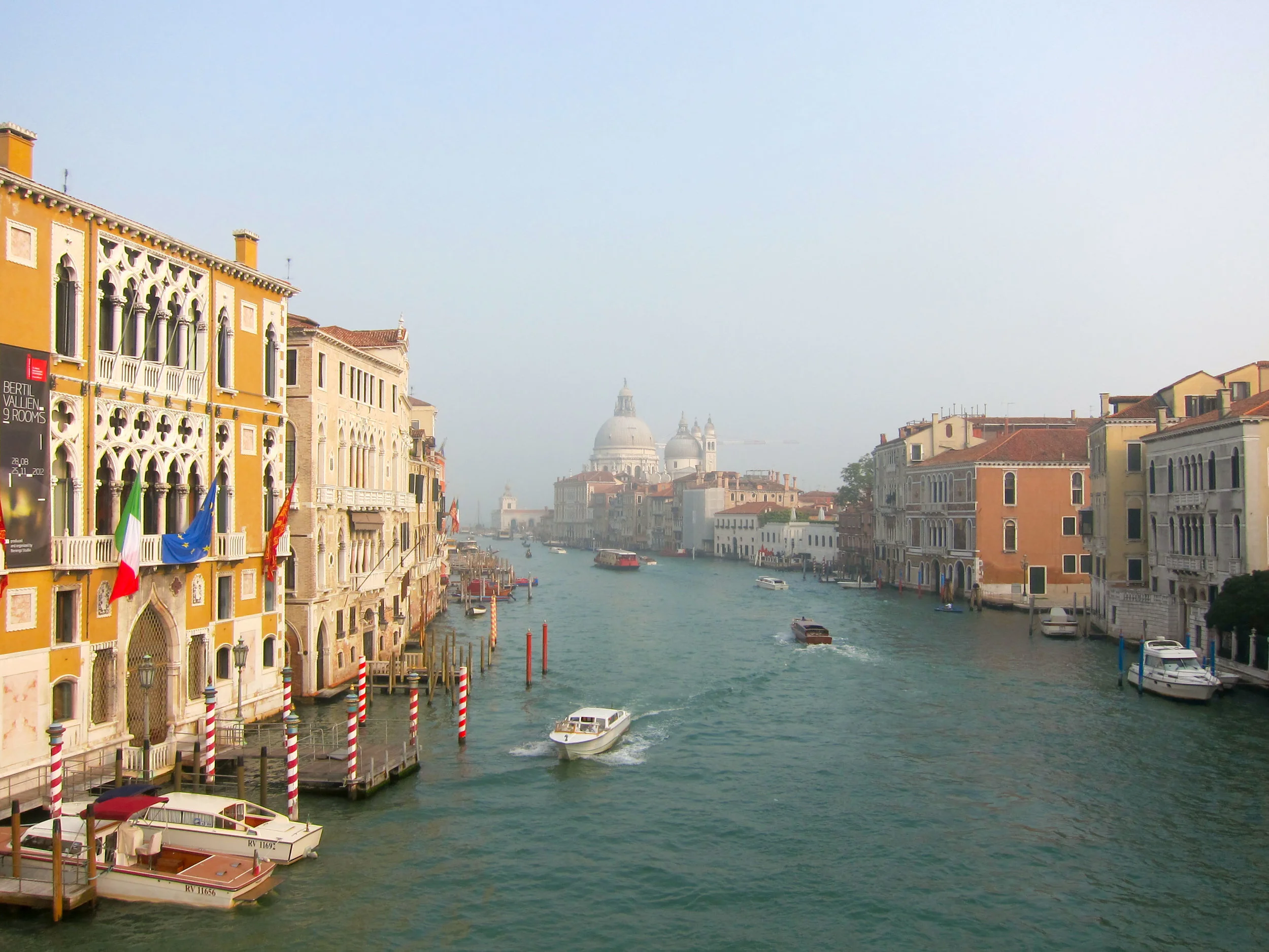 IMG_2335.jpg
