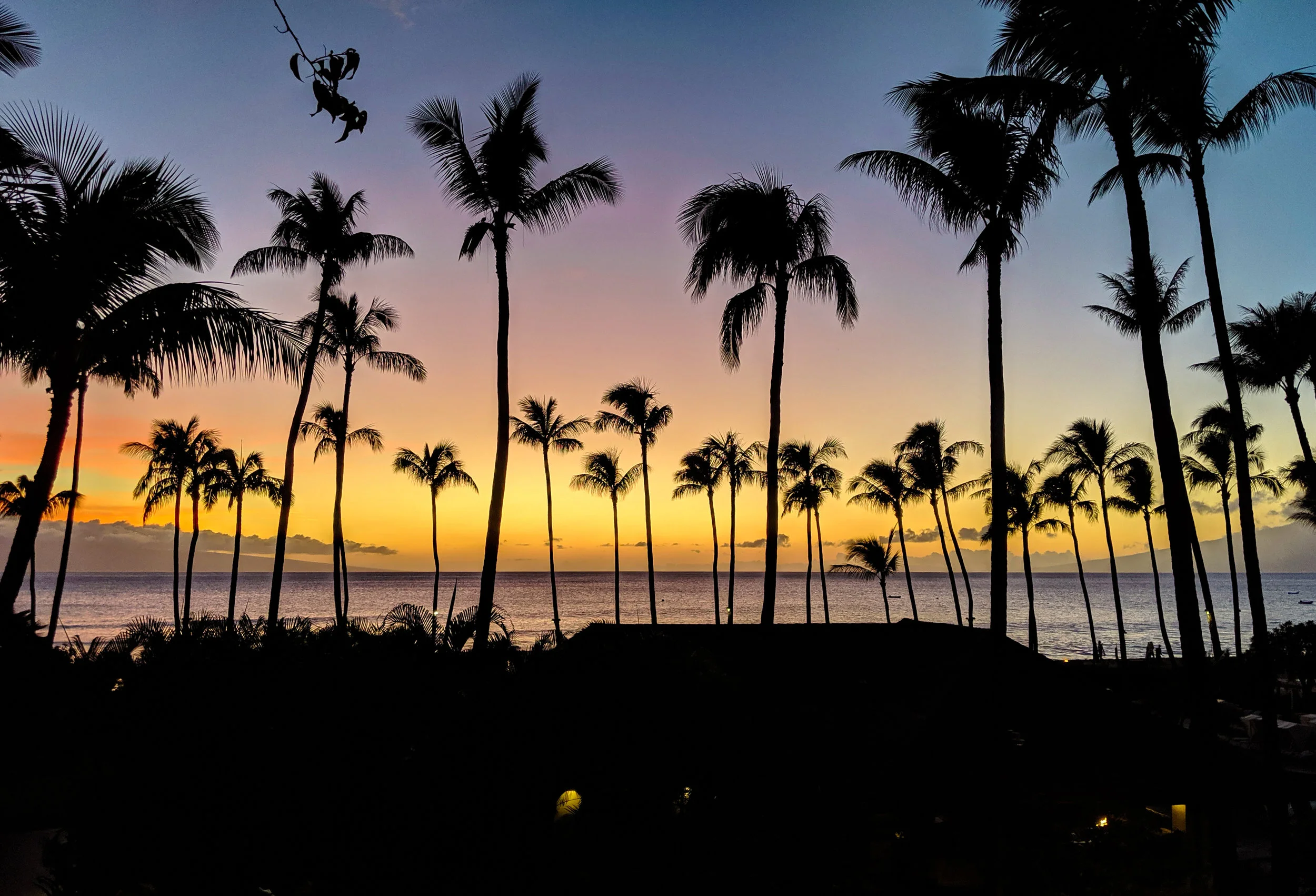 Vacation Mentality and Student Travel: Lessons from Hawaii