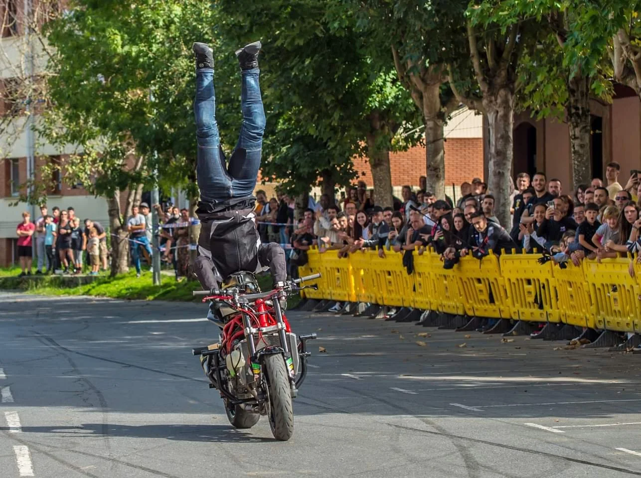 b0c498a6-4f2d-4c19-a1b3-5754c49cfbf1 (1).JPG