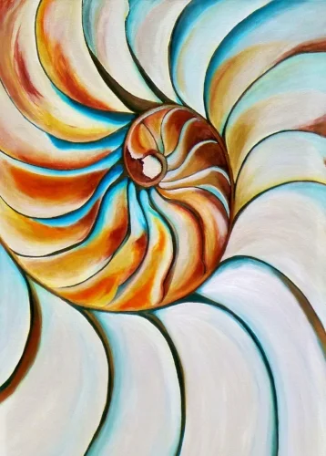 "Nautilus"